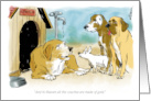 A Get Well Wish to a Friend’s Furry Canine Companion card
