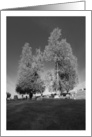 Salem Church 1 card