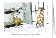 Dogs in jail - fun...