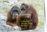 Amusing Orangutan Happy Birthday to my hair stylist card