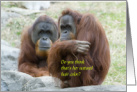 Amusing Orangutan Happy Birthday to my hair stylist card