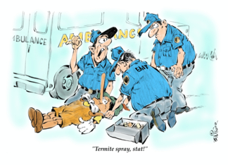 Humorous thanks to an EMT cartoon