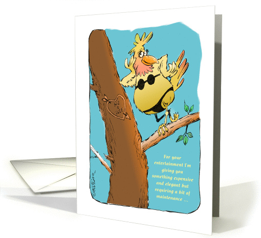 Funny female feathered friend - elegant underwear blank cartoon card