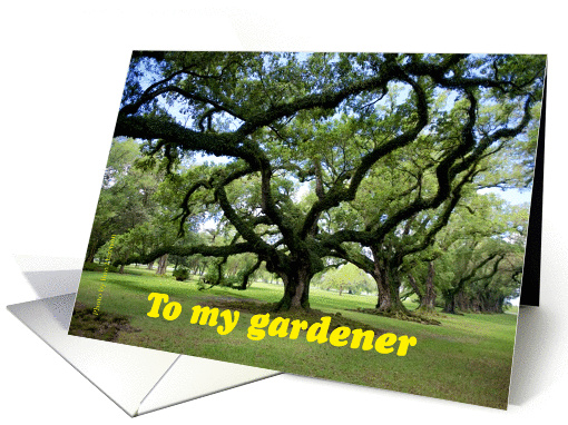 Viral oaks happy birthday to your gardener card (1385374)