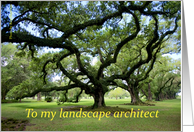 Viral oaks happy birthday to your landscape artist card