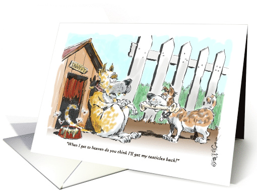 Funny Blank All Occasion Dogs, Heaven & Spaying Cartoon card (1396652)