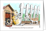 Funny Blank All Occasion Dogs, Heaven & Spaying Cartoon card