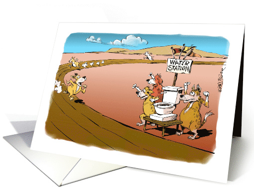 Funny Stay the Course Cartoon - Win the Race card (1399472)