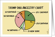 Amusing surviving the minefield and becoming a U.S. citizen card