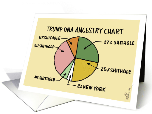 Amusing Trump ancestry DNA chart and contributing countries card