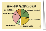 Amusing Trump ancestry DNA chart and contributing countries card