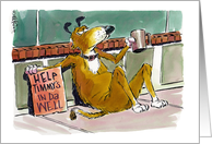 Amusing blank any occasion rescue dog cartoon card