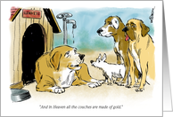 Celebrate National Dog Day Aug. 26th with a Pooch Cartoon card