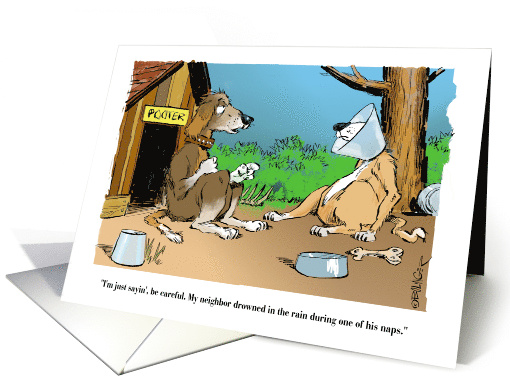 Amusing Congratulations to Retiring Vet Dog in Cone card (1711190)