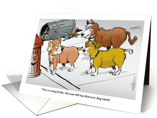 Amusing Smell of a New Birthday to Offset the Old Stinky Ones card