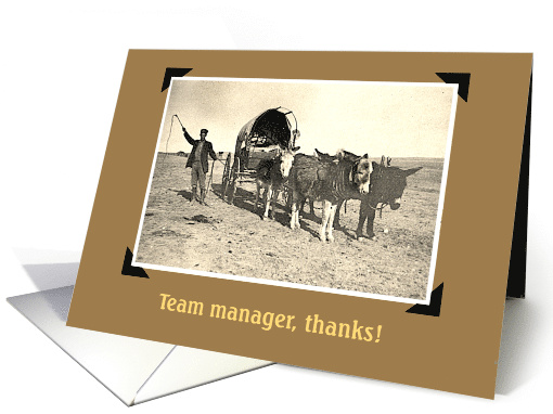Amusing Thanks to the Team Manager card (1889290)
