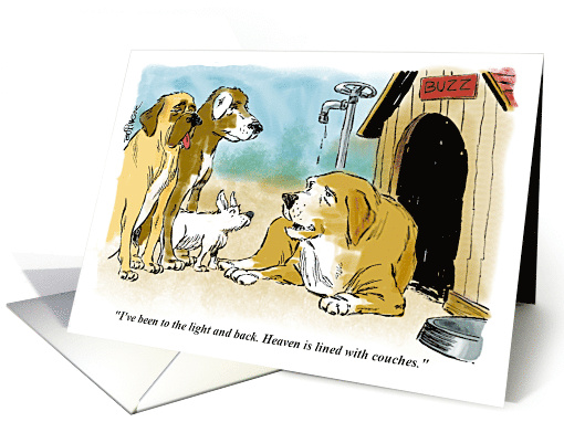 Get Well Wisdom from an Old Dog card (1936704)
