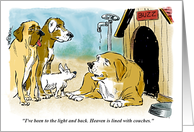 Happy Birthday Insight from an Old Dog card