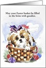 Easter Greeting from Shih Tzu Card