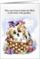 Easter Greeting from Shih Tzu Card