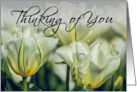 Thinking of You Floral Design card