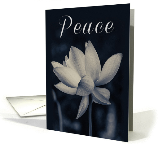 Peace Lotus Design Sympathy card (1396130)