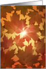 Fall Season Autumn Leaves Blank Note Card