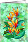 Bird of Paradise Flower Exotic Nature card