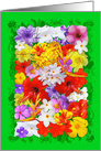 Exotic Flowers Colorful Explosion card