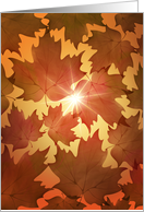 Fall Season Autumn Leaves Blank Note Card