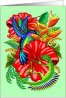 The Lizard and the Hummingbird card