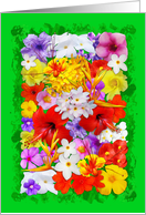 Exotic Flowers Colorful Explosion card