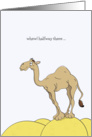 Hump Day Cards, Camel Standing On A Sand Hump Cartoon card
