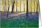 Bluebell Wood card