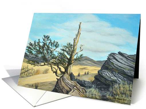 Bristlecone Pines card (1185876)