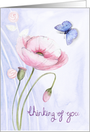 Poppy & Butterfly Thinking Of You card