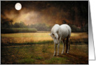Bowing White Horse In The Moonlight Missing You card