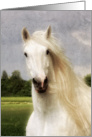 White Mystical Fairytale Horse Mane Blowing In Wind Blank Note card