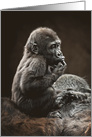 Happy Birthday Baby Gorilla On Mom’s Back Having A Time Out To Think card