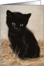 Missing You Black Cute Kitten on Fur Antique Digital Painting card