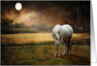 Grey Wild Horse Bowing Under Full Moon Friendship Kindred Spirits card