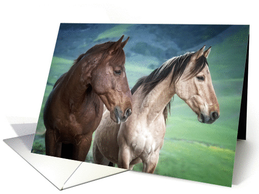 Friendship...I Have Your Back Two Wild Stallions Standing Strong card