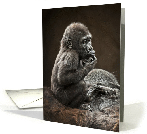 Baby Gorilla On Mom's Back Having A Time Out To Think Blank Note card