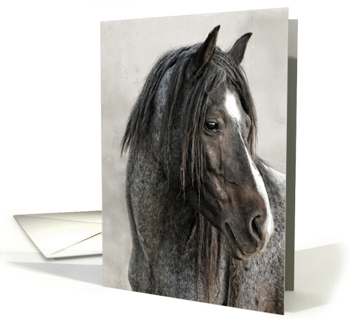 Portrait of a Stallion Wild Horse Be Strong and Believe card (1415518)