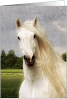 White Mystical Fairytale Horse Mane Blowing In Wind Blank Note card