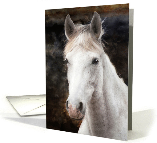 Portrait Of Proud and Beautiful Grey Wild Mare Blank Note card