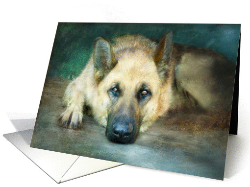 German Shepherd Resting on Porch Looking Right At you Blank Note card