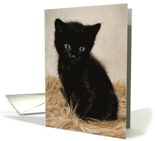 Missing You Black Cute Kitten on Fur Antique Digital Painting card