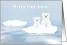 Merry Christmas Two Polar Bears on Ice Floe card