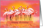 Happy Birthday Red Flamingos and Sunset card